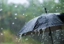 El Niño en Tucumán: un verano con tormentas fuertes y granizo. El Servicio Meteorológico Nacional (SMN) emitió una alerta amarilla por lluvias de variada intensidad durante la tarde y la noche de este lunes. La máxima alcanzará los 25 °C, pero mañana volverá el frío con una mínima de 10 °C.