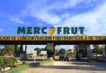 Puesteros del Mercofrut alertan por una grave crisis de consumo (video).
