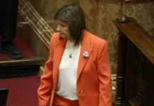 El vínculo de Bullrich con Techint agrava la desconfianza de Milei