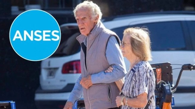 ANSES
