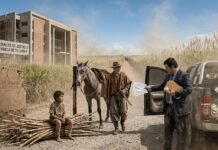 El Evangelio del Hambre y el Banquete de los Sobres. Cuando el Fiscal se Olvidó de Mirar al Cerro