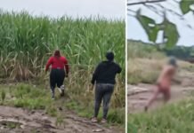Santa Ana: un hombre fue filmado sin ropa en medio de los cañaverales (video)