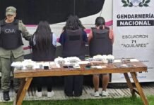 «Tour de compras» traía 11 kilos de cocaína.