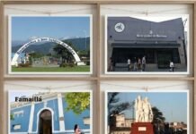 Remoción del Fiscal Federal Rafael Vehils Ruiz (video)