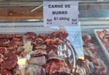Carne de burro: ¿podría comenzar a comercializarse en Tucumán?