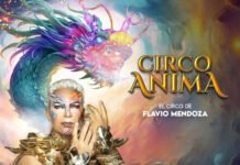 El Ente de Cultural declaró de Interés Cultural al espectáculo de Flavio Mendoza