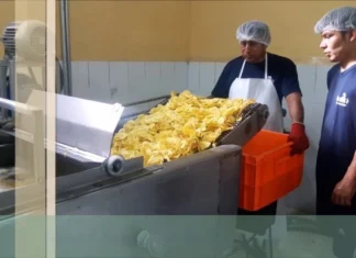 Concepción: clausuran una fábrica de snacks, 70 puesto de trabajo en riesgo.
