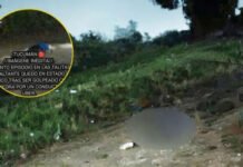 Las Talitas: delincuente grave tras recibir un piedrazo de un chofer de Uber.