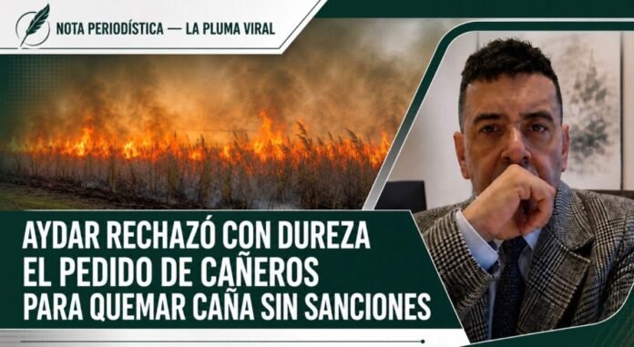 cañeros ni le importa el medio ambiente mage 2026-05-17 at 01.48.35