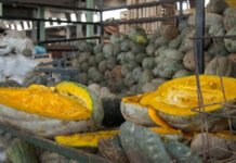 Crisis en Tucumán: el Mercofrut alertan que trabajan «a media máquina»