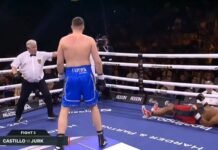 El nocaut que impactó al boxeo: un golpe y 4 segundos (video).
