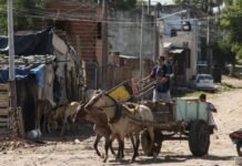 Una familia necesitó $ 1.469.000 para no ser pobre.