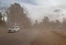 El SMN emitió una alerta por fuertes vientos para Tucumán.