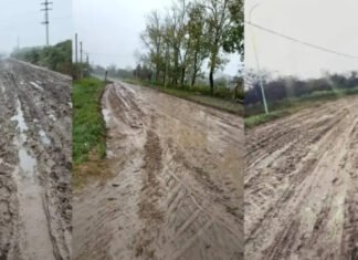 «Llueve y no hay clases: el abandono de Tucumán se hace costumbre»