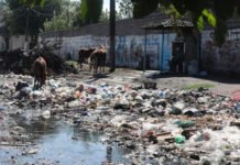 Tucumán se hunde en la pobreza, mientras la política vive en otra realidad.