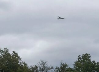 Salta: filmaron avionetas volando a baja altura y denuncian narcovuelos.
