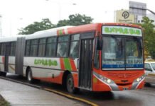 Los ómnibus del servicio rural de transporte de pasajeros dejarán de recibir dinero en efectivo.