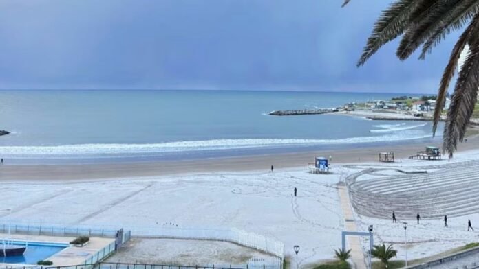 nieve