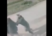 Tucumán inseguro: violento robo a una mujer en el Manantial Sur (video).