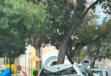 CATAMARCA: grave denuncia salpica al hijo del fiscal federal Rafael Vehils Ruiz.