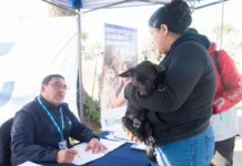 Esterilización gratuita para mascotas en San Miguel de Tucumán.