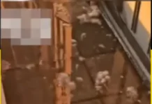 Solo en Tucumán: aguas cloacales inundaron el aeropuerto.