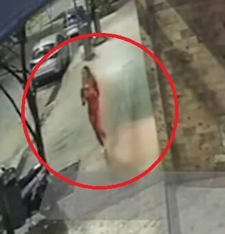 secuestro d la novai