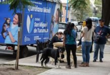 Castración gratuita de mascotas: dónde será esta semana.