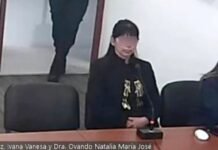 Una mujer quedó detenida por la estafa de casi 90 millones.