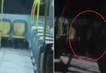 Chofer apagó la luz del colectivo, vio algo raro y subió el video a TikTok.