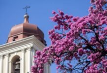 Domingo sofocante y hay alerta por tormentas para el lunes.
