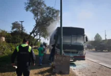 Se incendió El colectivo de la Comuna de El Timbó en la ruta 305