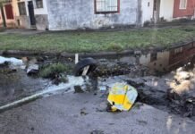 «Río de caca» en Tucumán: vecinos hartos del abandono.