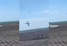 Video: una avioneta perdió el control en pleno vuelo y se estrelló.