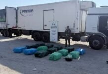 Trancas: hallaron casi 400 kilos de hojas de coca en un camión.