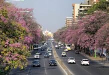 Primavera en Tucumán: del frío al calor y con lluvias en camino