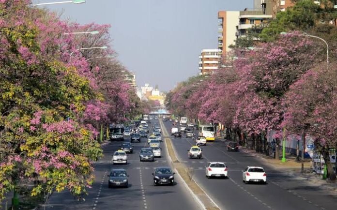 images (3)