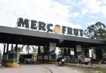 «Las ventas cayeron una barbaridad»: temor en el Mercofrut.