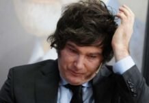 Milei: el mercado baja siete puntos su posibilidad de reelección.