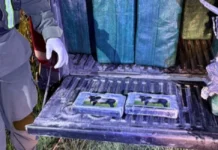 Narcotráfico en el Norte: hallan 400 kg de cocaína con sello nuevo.