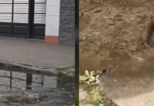 B° El Bosque explota contra la SAT de Caponio: sin agua y calles inundadas.