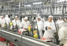 Granja Tres Arroyos: quieren pagar salarios adeudados con pollos.