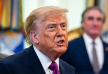 Trump: prometió u$s 5000 a cada estadounidense si los republicanos ganan las elecciones.