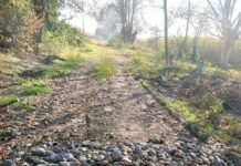 «Arreglé el camino para que llegue la ambulancia”: el reclamo de una vecina y el discurso de Jaldo.