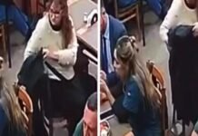 Una mujer fue filmada robando carteras de clientas en dos bares.
