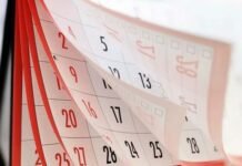 Noviembre tendrá dos fines de semana largos: cuándo son.