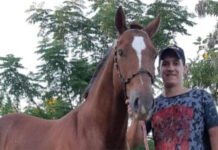 Crimen narco en Misiones: sicarios brasileños y un joven acribillado.