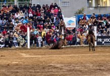 Alarma en el Festival del Caballo tras la aparatosa caída de un jinete.