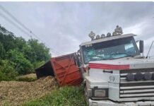 Vuelco en la Ruta 38: un camión perdió el control y volcó su tráiler.