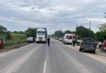 El Chañar: murió una nena de 10 años atropellada en la Ruta 304.